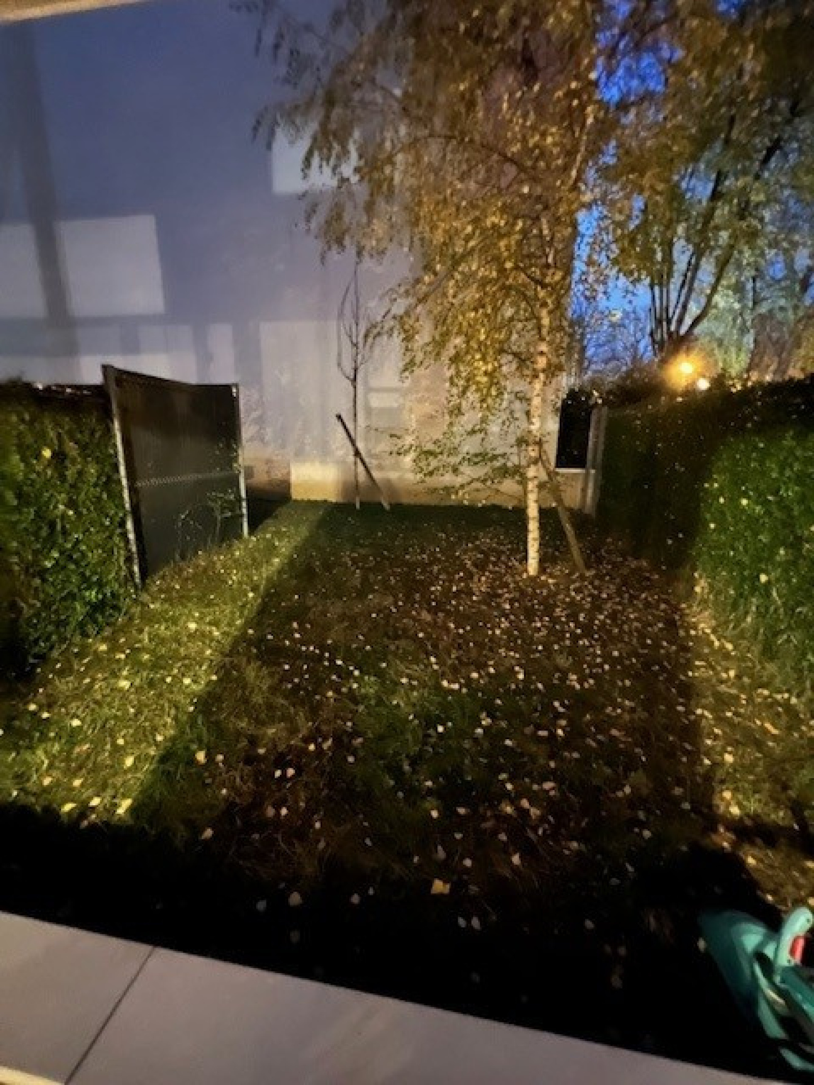 Image_, Appartement, Thiais, ref :LORF4