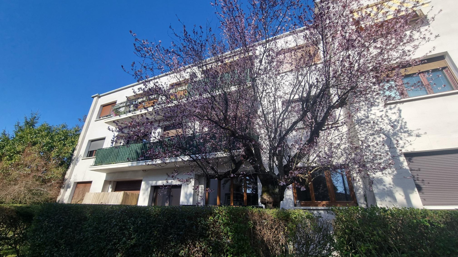 Image_, Appartement, Brunoy, ref :24485