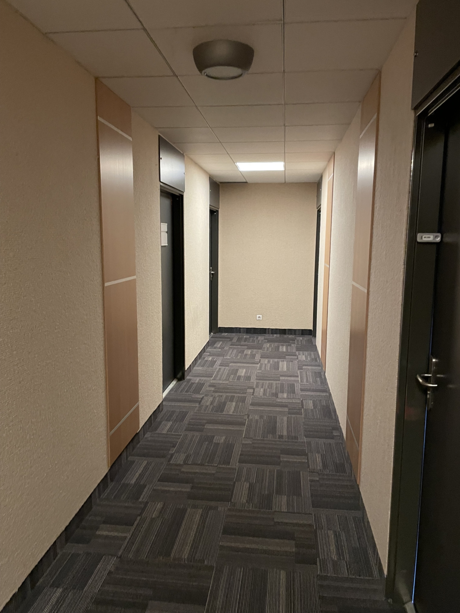 Image_, Bureaux, Lieusaint, ref :LCO50005751