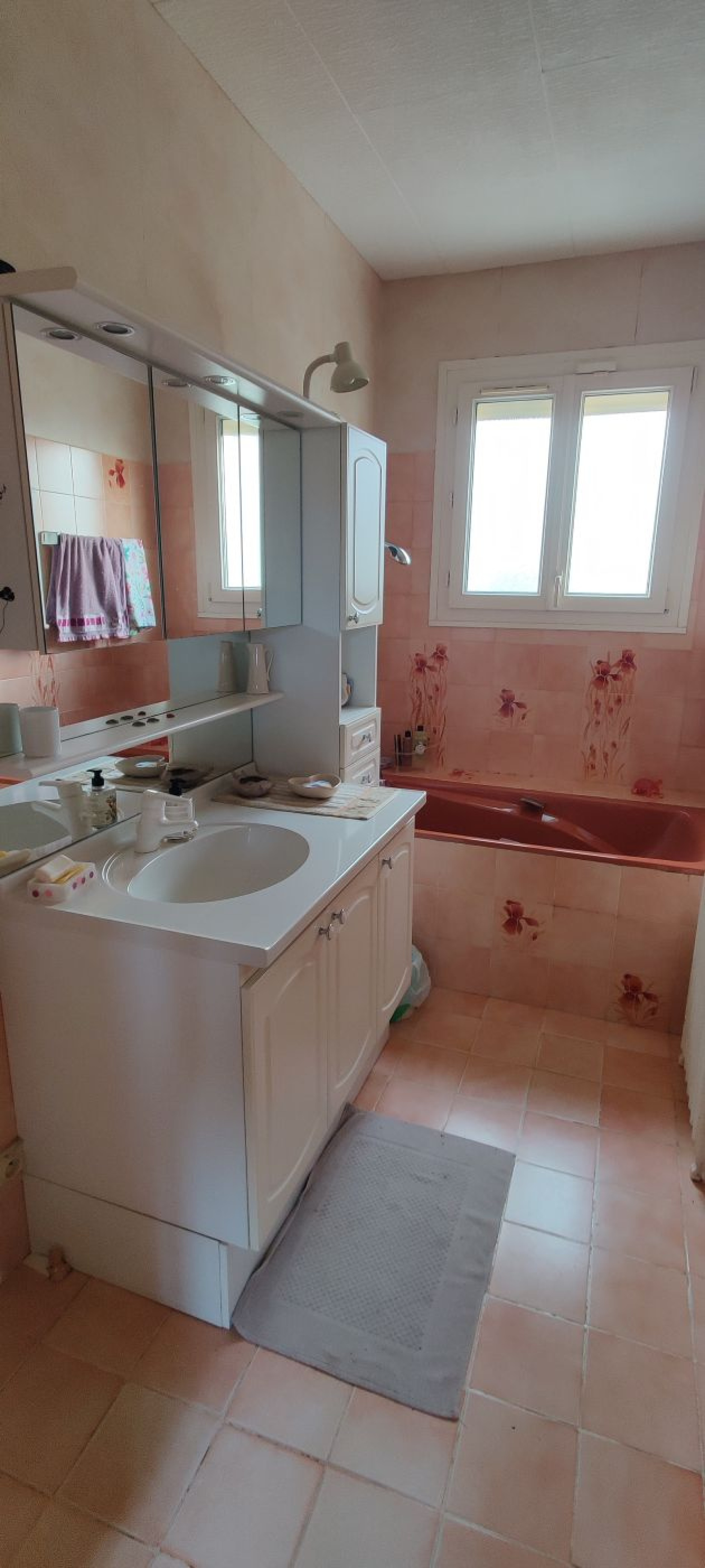 Image_, Maison, Villeneuve-Saint-Georges, ref :24459